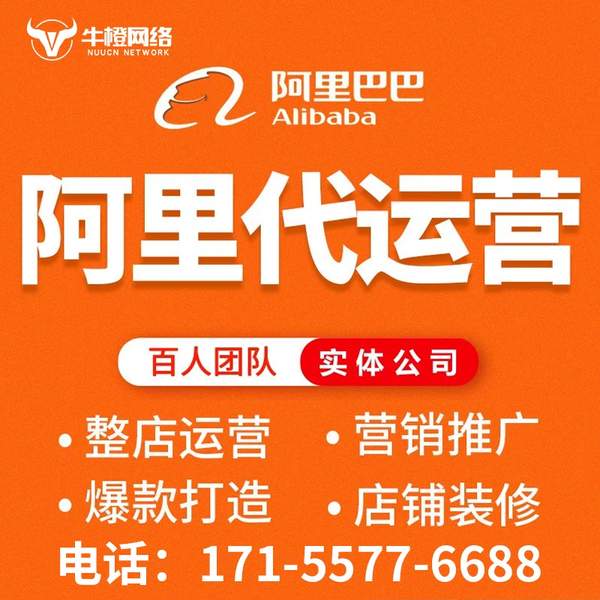 商丘电商代运营