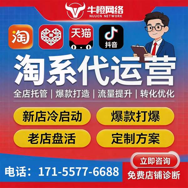 商丘电商代运营
