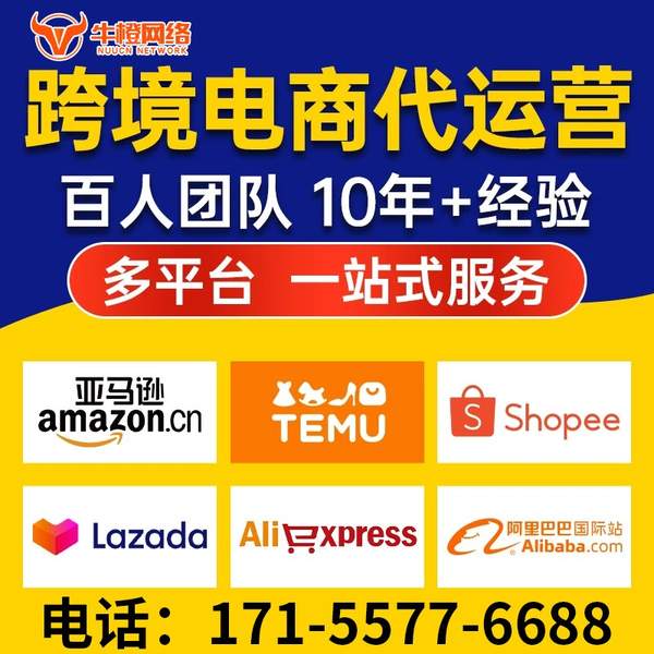 商丘电商代运营