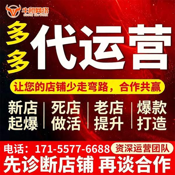 商丘电商代运营