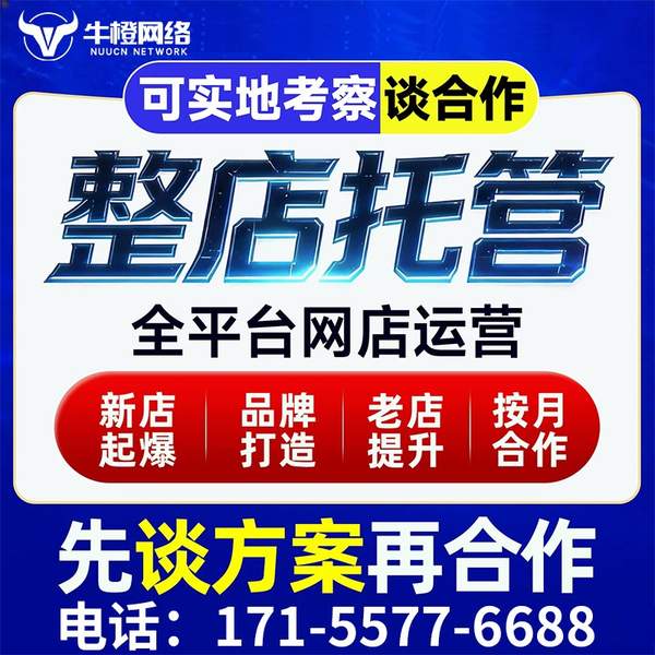 商丘电商代运营