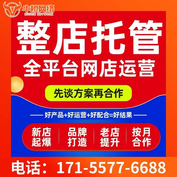 商丘电商代运营