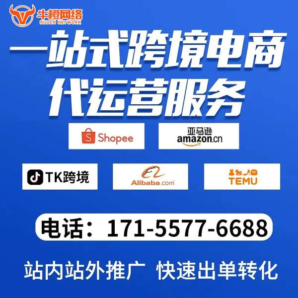 商丘电商代运营