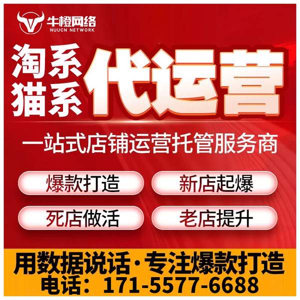 商丘电商代运营